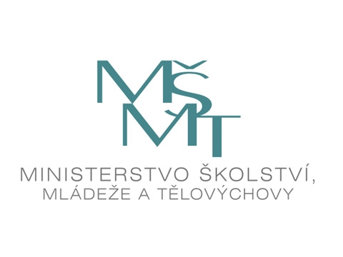Dotace z MŠMT: Program VIII - Organizace sportu ve sportovních klubech